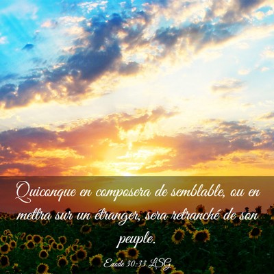 Picture 03 - Exode 30:33 LSG - Quiconque en composera de semblable, ou en mettra - Bible Verse Picture