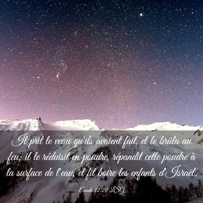 Picture 03 - Exode 32:20 LSG - Il prit le veau qu'ils avaient fait, et le brûla - Bible Verse Picture