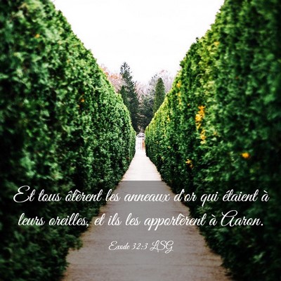 Picture 03 - Exode 32:3 LSG - Et tous ôtèrent les anneaux d'or qui étaient - Bible Verse Picture