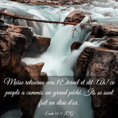 Picture 03 - Exode 32:31 LSG - Moïse retourna vers l'Eternel et dit: Ah! ce - Bible Verse Picture