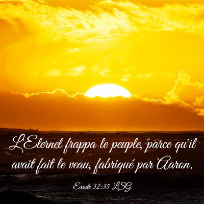 Picture 03 - Exode 32:35 LSG - L'Eternel frappa le peuple, parce qu'il avait - Bible Verse Picture