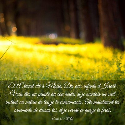 Picture 03 - Exode 33:5 LSG - Et l'Eternel dit à Moïse: Dis aux enfants - Bible Verse Picture