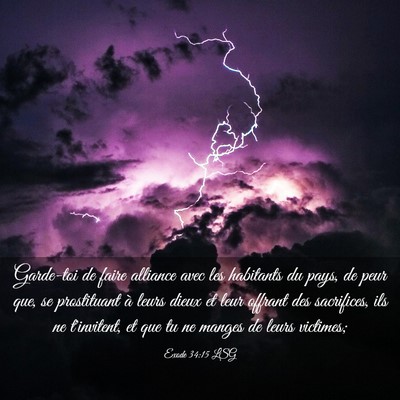 Picture 03 - Exode 34:15 LSG - Garde-toi de faire alliance avec les habitants du - Bible Verse Picture