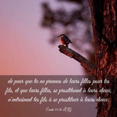 Picture 03 - Exode 34:16 LSG - de peur que tu ne prennes de leurs filles pour - Bible Verse Picture