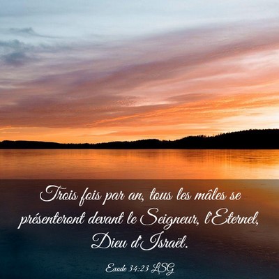 Picture 03 - Exode 34:23 LSG - Trois fois par an, tous les mâles se - Bible Verse Picture