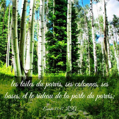 Picture 03 - Exode 35:17 LSG - les toiles du parvis, ses colonnes, ses bases, et - Bible Verse Picture