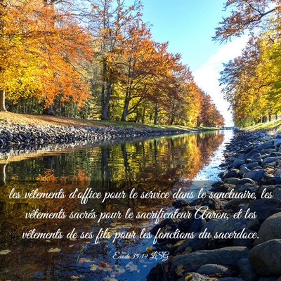 Picture 03 - Exode 35:19 LSG - les vêtements d'office pour le service dans le - Bible Verse Picture