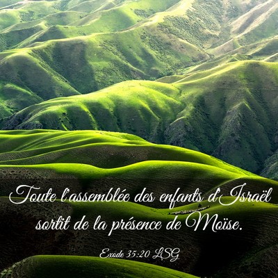 Picture 03 - Exode 35:20 LSG - Toute l'assemblée des enfants d'Israël sortit - Bible Verse Picture