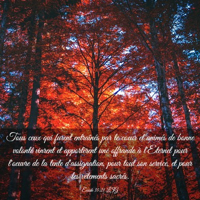 Picture 03 - Exode 35:21 LSG - Tous ceux qui furent entraînés par le coeur et - Bible Verse Picture