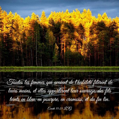 Picture 03 - Exode 35:25 LSG - Toutes les femmes qui avaient de l'habileté - Bible Verse Picture
