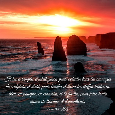 Picture 03 - Exode 35:35 LSG - Il les a remplis d'intelligence, pour exécuter - Bible Verse Picture