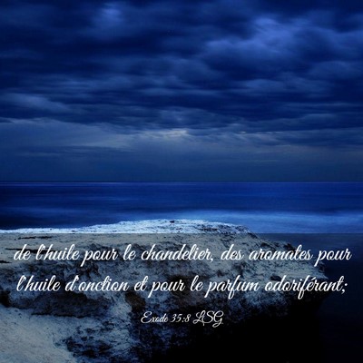 Picture 03 - Exode 35:8 LSG - de l'huile pour le chandelier, des aromates pour - Bible Verse Picture