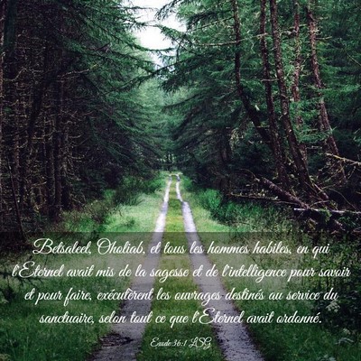 Picture 03 - Exode 36:1 LSG - Betsaleel, Oholiab, et tous les hommes habiles, - Bible Verse Picture