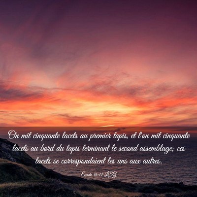 Picture 03 - Exode 36:12 LSG - On mit cinquante lacets au premier tapis, et l'on - Bible Verse Picture