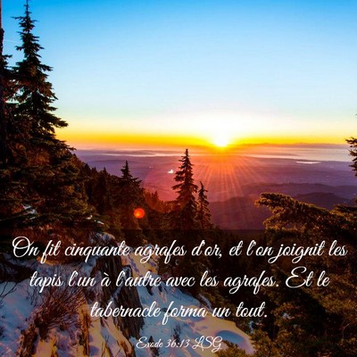 Picture 03 - Exode 36:13 LSG - On fit cinquante agrafes d'or, et l'on joignit - Bible Verse Picture