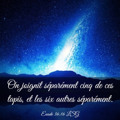 Picture 03 - Exode 36:16 LSG - On joignit séparément cinq de ces tapis, et les - Bible Verse Picture
