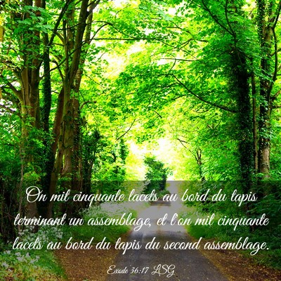 Picture 03 - Exode 36:17 LSG - On mit cinquante lacets au bord du tapis - Bible Verse Picture