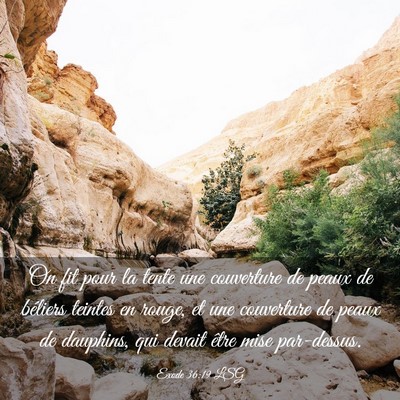 Picture 03 - Exode 36:19 LSG - On fit pour la tente une couverture de peaux de - Bible Verse Picture