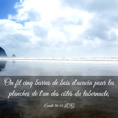 Picture 03 - Exode 36:31 LSG - On fit cinq barres de bois d'acacia pour les - Bible Verse Picture