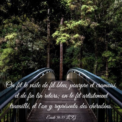 Picture 03 - Exode 36:35 LSG - On fit le voile de fil bleu, pourpre et cramoisi, - Bible Verse Picture