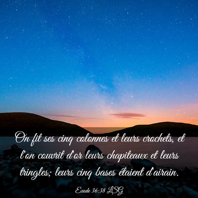 Picture 03 - Exode 36:38 LSG - On fit ses cinq colonnes et leurs crochets, et - Bible Verse Picture