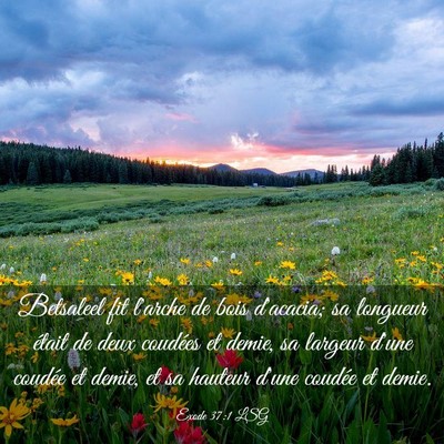 Picture 03 - Exode 37:1 LSG - Betsaleel fit l'arche de bois d'acacia; sa - Bible Verse Picture