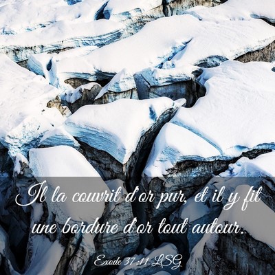 Picture 03 - Exode 37:11 LSG - Il la couvrit d'or pur, et il y fit une bordure - Bible Verse Picture