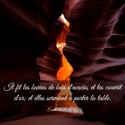 Picture 03 - Exode 37:15 LSG - Il fit les barres de bois d'acacia, et les - Bible Verse Picture