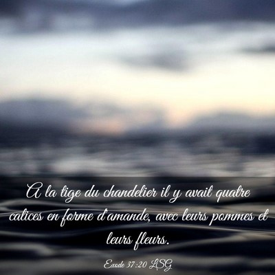 Picture 03 - Exode 37:20 LSG - A la tige du chandelier il y avait quatre calices - Bible Verse Picture