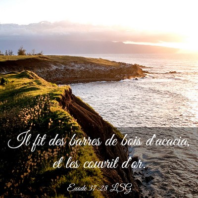Picture 03 - Exode 37:28 LSG - Il fit des barres de bois d'acacia, et les - Bible Verse Picture