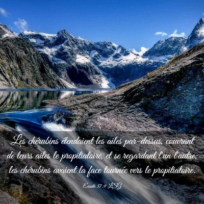 Picture 03 - Exode 37:9 LSG - Les chérubins étendaient les ailes par-dessus, - Bible Verse Picture