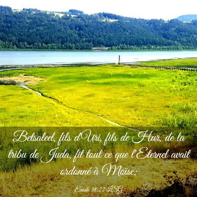Picture 03 - Exode 38:22 LSG - Betsaleel, fils d'Uri, fils de Hur, de la tribu - Bible Verse Picture