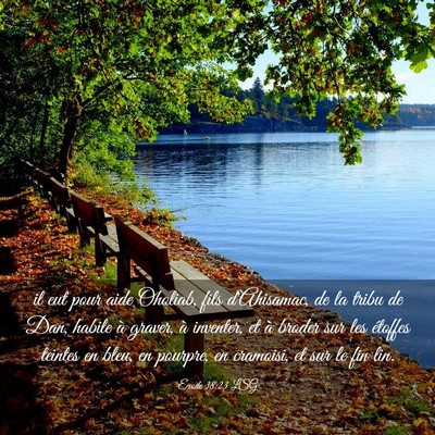 Picture 03 - Exode 38:23 LSG - il eut pour aide Oholiab, fils d'Ahisamac, de la - Bible Verse Picture