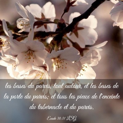 Picture 03 - Exode 38:31 LSG - les bases du parvis, tout autour, et les bases de - Bible Verse Picture