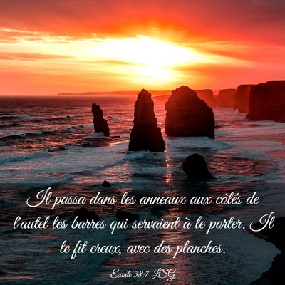 Picture 03 - Exode 38:7 LSG - Il passa dans les anneaux aux côtés de l'autel - Bible Verse Picture