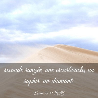 Picture 03 - Exode 39:11 LSG - seconde rangée, une escarboucle, un saphir, un - Bible Verse Picture