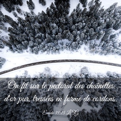 Picture 03 - Exode 39:15 LSG - On fit sur le pectoral des chaînettes d'or pur, - Bible Verse Picture