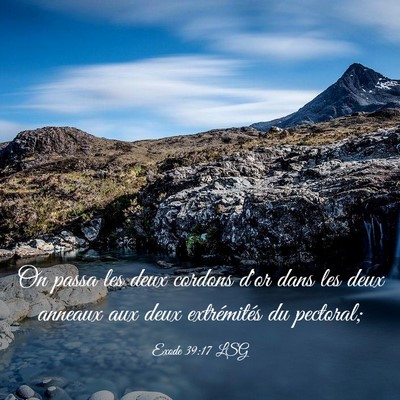 Picture 03 - Exode 39:17 LSG - On passa les deux cordons d'or dans les deux - Bible Verse Picture
