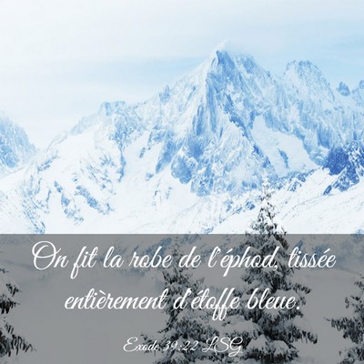 Picture 03 - Exode 39:22 LSG - On fit la robe de l'éphod, tissée entièrement - Bible Verse Picture