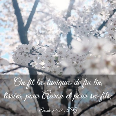 Picture 03 - Exode 39:27 LSG - On fit les tuniques de fin lin, tissées, pour - Bible Verse Picture