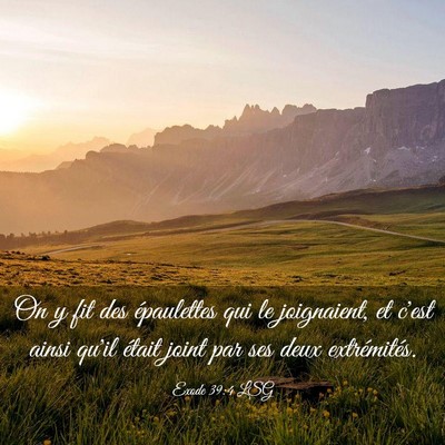 Picture 03 - Exode 39:4 LSG - On y fit des épaulettes qui le joignaient, et - Bible Verse Picture