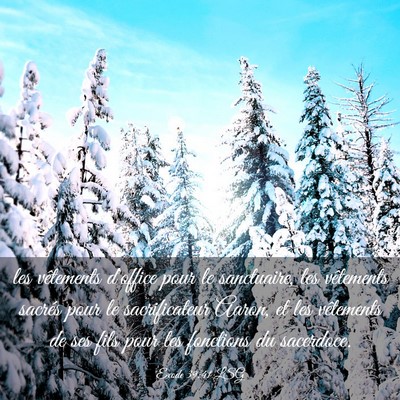 Picture 03 - Exode 39:41 LSG - les vêtements d'office pour le sanctuaire, les - Bible Verse Picture