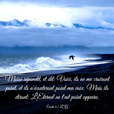 Picture 03 - Exode 4:1 LSG - Moïse répondit, et dit: Voici, ils ne me - Bible Verse Picture