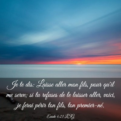 Picture 03 - Exode 4:23 LSG - Je te dis: Laisse aller mon fils, pour qu'il me - Bible Verse Picture