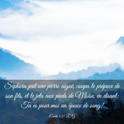 Picture 03 - Exode 4:25 LSG - Séphora prit une pierre aiguë, coupa le - Bible Verse Picture