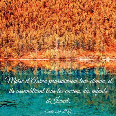 Picture 03 - Exode 4:29 LSG - Moïse et Aaron poursuivirent leur chemin, et ils - Bible Verse Picture