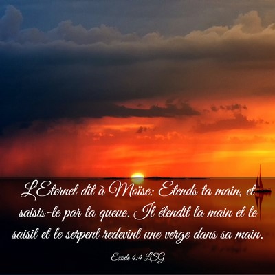 Picture 03 - Exode 4:4 LSG - L'Eternel dit à Moïse: Etends ta main, et - Bible Verse Picture