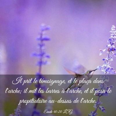 Picture 03 - Exode 40:20 LSG - Il prit le témoignage, et le plaça dans - Bible Verse Picture