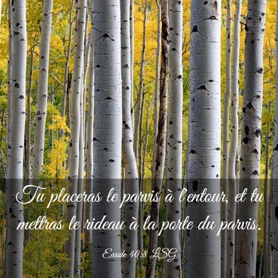 Picture 03 - Exode 40:8 LSG - Tu placeras le parvis à l'entour, et tu mettras - Bible Verse Picture