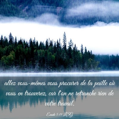 Picture 03 - Exode 5:11 LSG - allez vous-mêmes vous procurer de la paille où - Bible Verse Picture